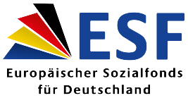 logo of the european union